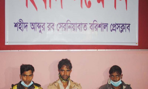 সাংবাদিক ভাইয়েরা আমাদের বাঁচান