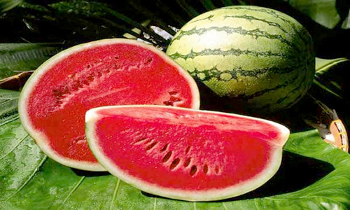 খাগড়াছড়িতে হঠাৎ তরমুজের দাম আকাশ ছোঁয়া