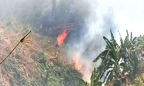 লামায় জুমের বাগান আগুনে পুড়িয়ে দেওয়ার অভিযোগ
