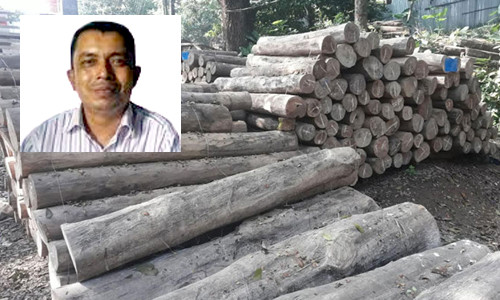 আলীকদমে সরকারী প্রাথমিক স্কুল শিক্ষক যখন অবৈধ কাঠ পাচারকারী