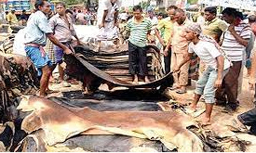 কোরবানির পশুর চামড়ার দাম প্রতি বর্গফুটে বৃদ্ধি পেল ৭ টাকা