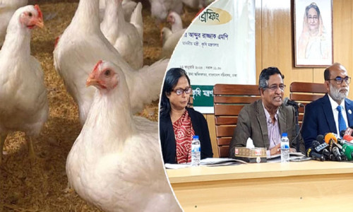 ব্রয়লার মুরগিতে ক্ষতিকর কিছু নেই: কৃষিমন্ত্রী
