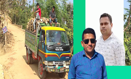 বান্দরবান সদরে গাছ পাচারের মহোৎসবে জামাল, কামাল