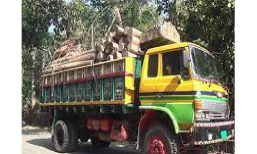 কাঠভর্তি ট্রাকে ব্রাশ ফায়ারের প্রতিবাদে রাঙামাটিতে রাস্তা অবরোধ করে বিক্ষোভ;৭দিনের আল্টিমেটাম