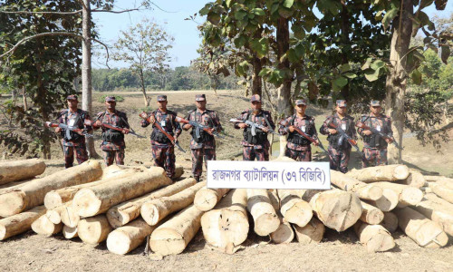 লংগদুতে বিজিবির অভিযানে গোল কাট জব্দ