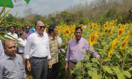পার্বত্য চট্টগ্রামকে কৃষি অর্থনৈতিক অঞ্চল হিসেবে গড়ে তোলা হবে; কৃষিমন্ত্রী