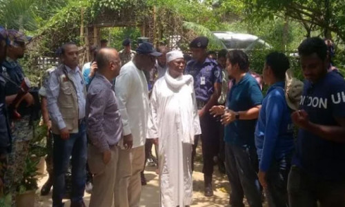 রোহিঙ্গাদের সম্মানজনক প্রত্যাবাসন চায় ওআইসি