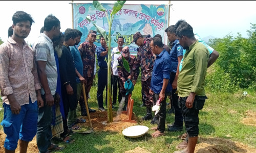 পশুর খাদ্য পূরণে রাজনগর ৩৭ বিজিবির ভিন্ন ধরনের কার্যক্রম