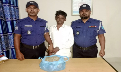 গাঁজাসহ দশ মাদক মামলার আসামী গ্রেপ্তার