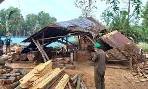 অবৈধ করাতকল গিলে খাচ্ছে রাঙামাটির সংরক্ষিত বনাঞ্চল; অভিযানে ২ স’মিল ধ্বংস