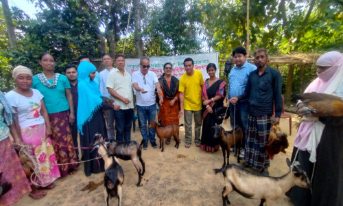 বাঙ্গালহালিয়ায় কারিতাসের উদ্যোগে গবাদি পশু ও সবজিবীজ বিতরণ