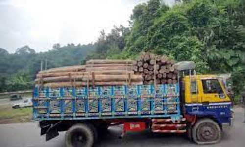 পাহাড়ি সন্ত্রাসীদের চাঁদা চেয়ে হুমকি: শতকোটি টাকার কাঠের ব্যবসা বন্ধ!