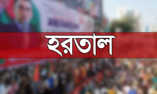 ৬ ও ৭ জানুয়ারি হরতালের ডাক বিএনপির