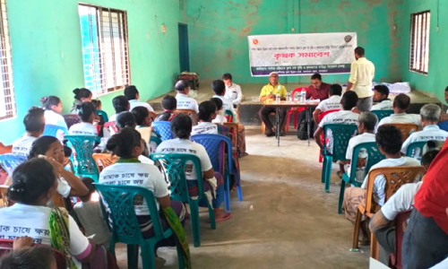 তামাকের বিকল্প তুলা চাষ বাড়াতে আলীকদমে কৃষক সমাবেশ