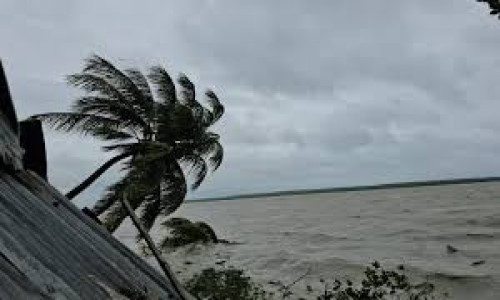উঁচু জোয়ারে সুন্দরবনের বিস্তীর্ণ এলাকা প্লাবিত, বিপদে বন্য প্রাণী
