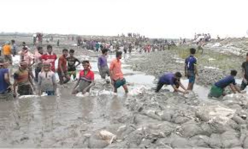 স্বেচ্ছাশ্রমে বাঁধ মেরামতের সংগ্রামে শত শত মানুষ