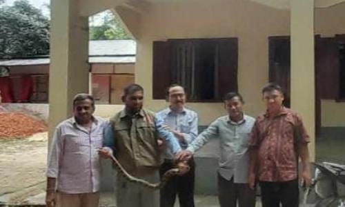 রাইখালীর গভীর অরণ্যে ৮ ফুট লম্বা অজগর অবমুক্ত