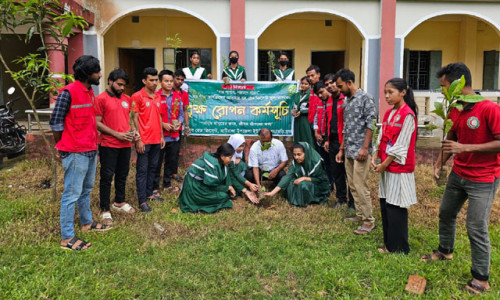 শিক্ষা প্রতিষ্ঠানে ৩ হাজার বৃক্ষ চারা রোপন করবে যুব রেড ক্রিসেন্ট