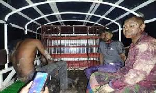 থানচিতে ট্রাক খাদে পড়ে চালক নিহত