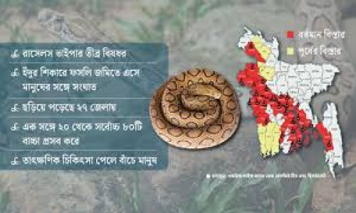 রাসেলস ভাইপার আতঙ্ক: কী বলছেন বিশেষজ্ঞরা