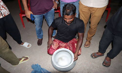 রাসেলস ভাইপার ধরে আনলে পুরস্কারের ঘোষণা প্রত্যাহার করে নিল ফরিদপুর আ.লীগ