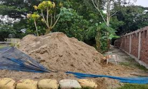 পিএসসির কর্মচারী সাজেদুল এক একরে পাকা বাড়ির কাজ শুরু করেছিলেন