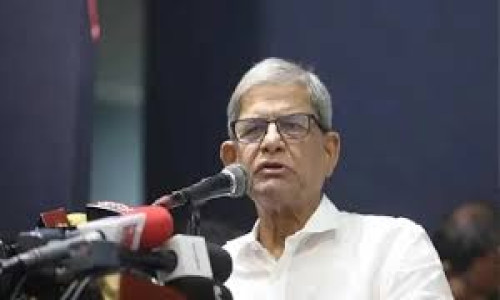 যারা ১০০ গাড়ি নিয়ে ইলেকশন ক্যাম্পেইন করতে যায়, তারা কী করবে, সেটা আমরা ভালো বুঝি: মির্জা ফখরুল