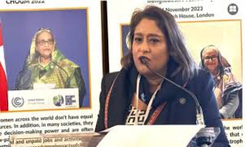 সূচনা ফাউন্ডেশনকে ৩৩ কোটি টাকা দেয় ২০ ব্যাংক, আত্মসাতের অভিযোগ সায়মা ওয়াজেদের বিরুদ্ধে