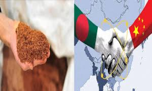 যে বিরল খনিজ নিয়ে যুক্তরাষ্ট্র-চীন দ্বন্দ্ব, তা পাওয়ার সম্ভাবনা বাংলাদেশে