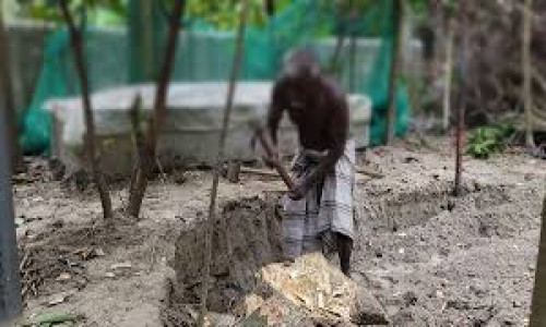 শহীদ বাবার পাশেই কলেজছাত্রীকে দাফনের প্রস্তুতি, কবর খুঁড়ছেন বৃদ্ধ দাদা