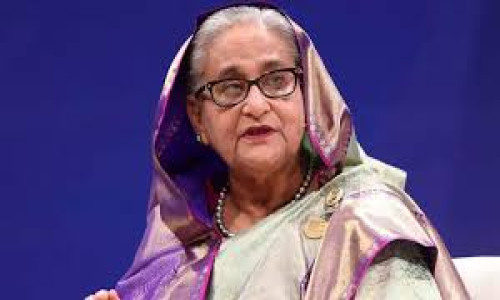 ‘২২৬ জনকে হত্যার লাইসেন্স পেয়ে গেছি’ বক্তব্যটি শেখ হাসিনার: তাজুল ইসলাম